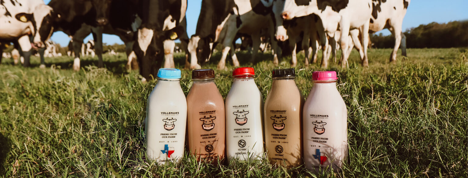 Volleman's Family Farm Milk in glass bottles from a local Texan family